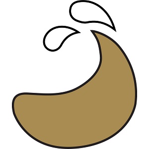 tasting notes - MOUTHFEEL