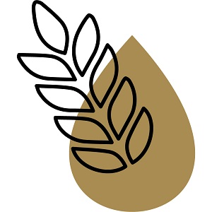 tasting notes - TASTE