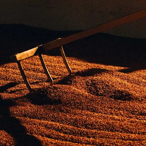malting floors being raked