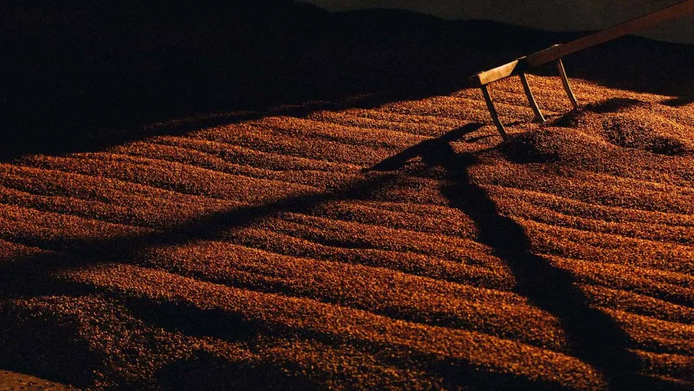 ardray distillery malting floors with rake